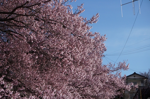 DSC015810007