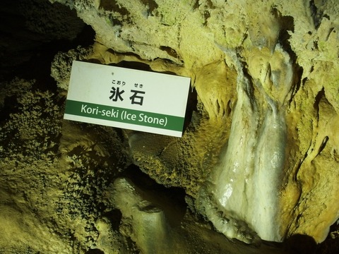P50500620031