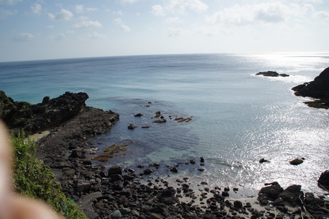 DSC010250003