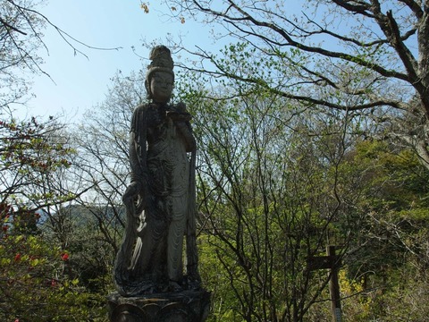 P43000150010