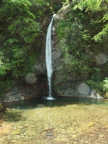 P43000520030