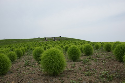 DSC034770027