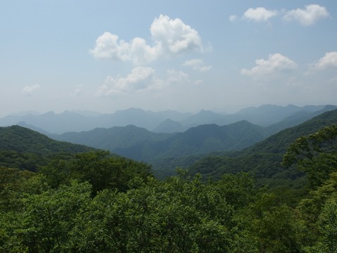 P70800220008