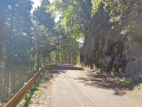 DSCN23480003