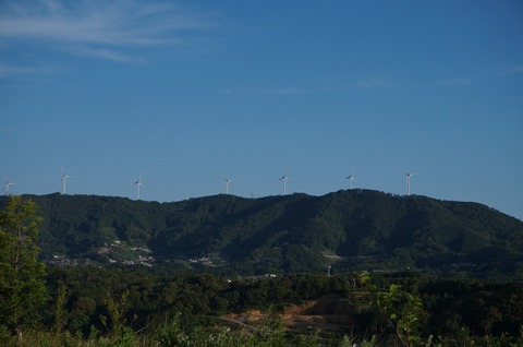 DSC020020003
