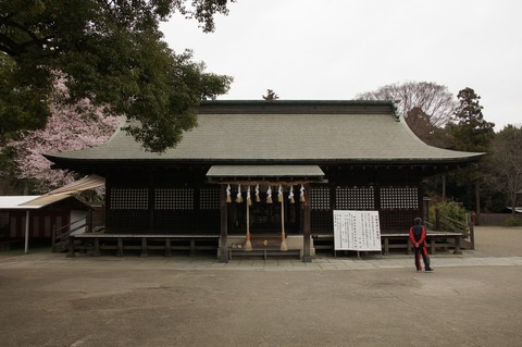DSC030230013
