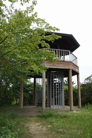 DSC035000034