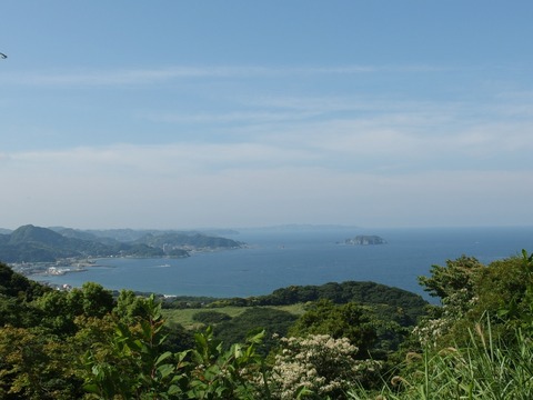 P61000170006