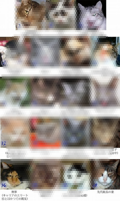 nkdqfz_OcyNLjlo1523257005_1523257042