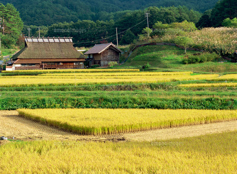 【閲覧注意】日本で一番えげつない事件をご覧ください
