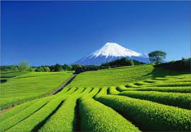 静岡 富士山