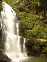 P1160744