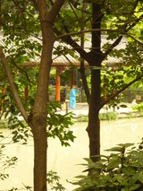P1150819