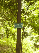 P1150846