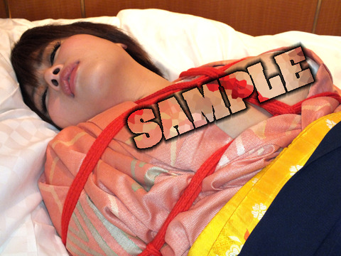 OL06_SAMPLE06