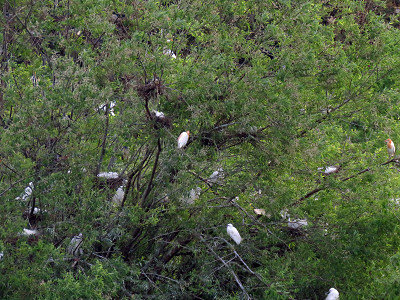 resize16494