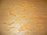 7f61440a.JPG