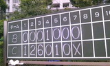 10391932.jpg