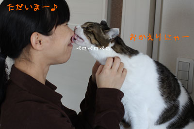猫ピートの愛情1