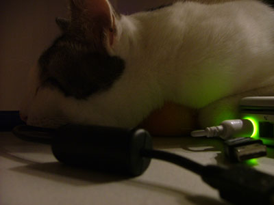 みかん2