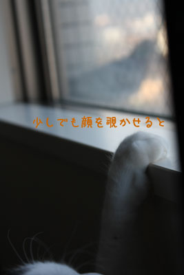 待つにゃ3