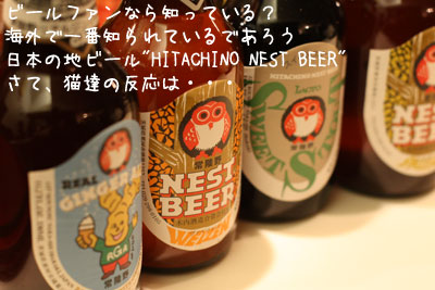 ネストビール1