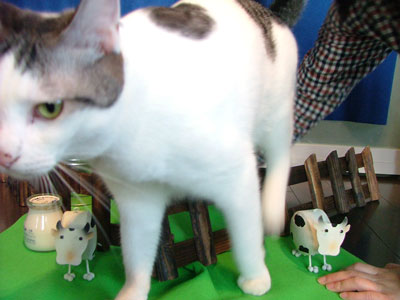 モデルお疲れさま
