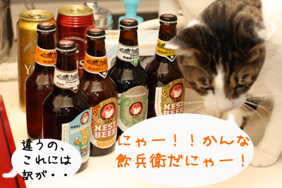 HITACHINO NEST BEER 2