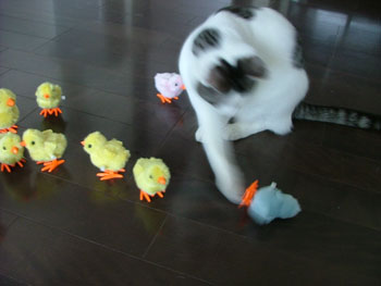 倒して