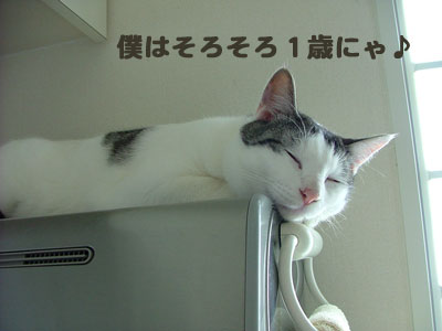 でるた