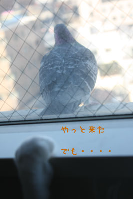 待つにゃ2