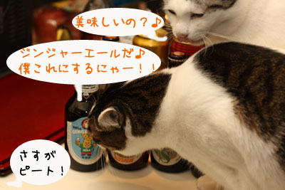 HITACHINO NEST BEER 4