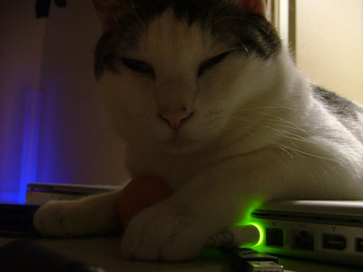 みかん4