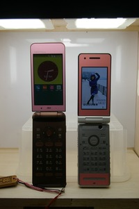 IMGP0011