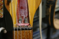 IMGP1466