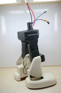 IMGP9892