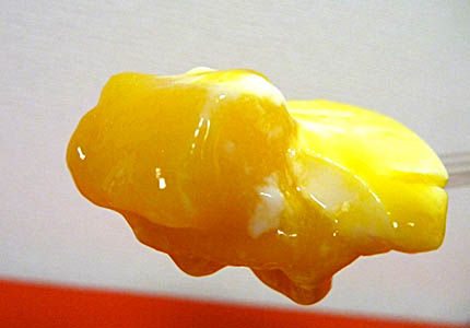 mango04
