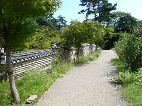 P10206461