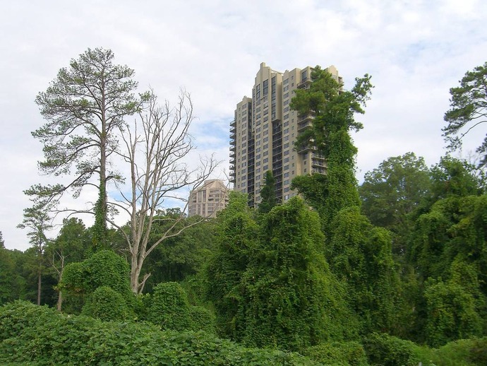 20140706030154_29_1