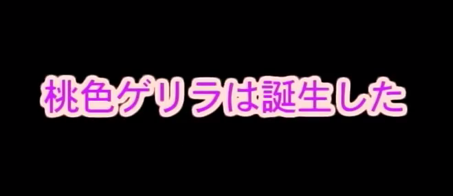 924ed1dd591b9f3daf293b0a208c9f3a