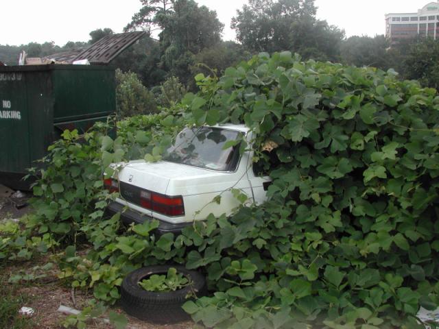 20140706030154_1_9