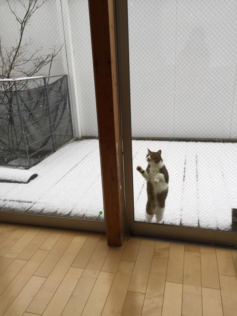 20150130123340_1_2