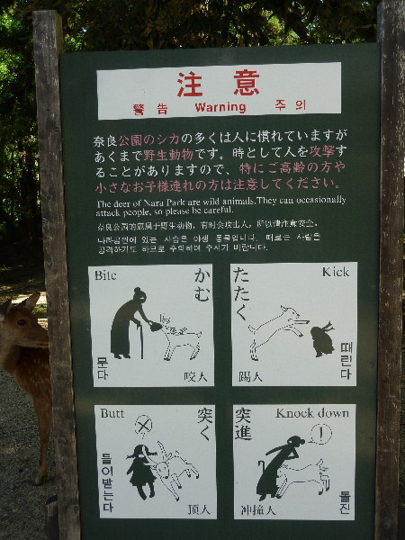 20150807201342_285_1