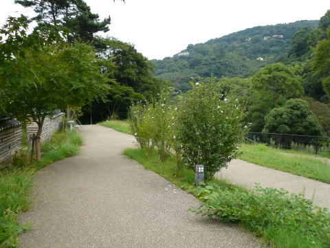 P10203061
