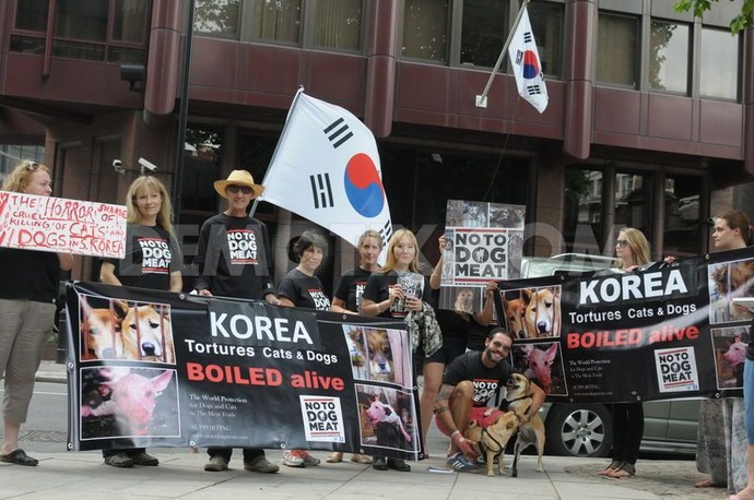 al-protest--no-to-dog-meat_2284856