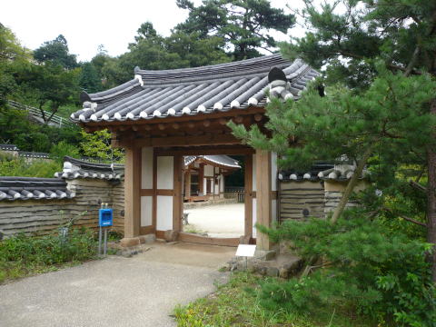 P10203051