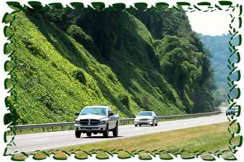 20140706030154_1_15