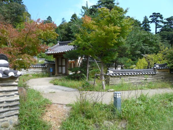 P10206451