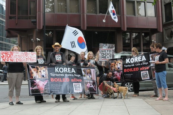 protest--no-to-dog-meat_2284850