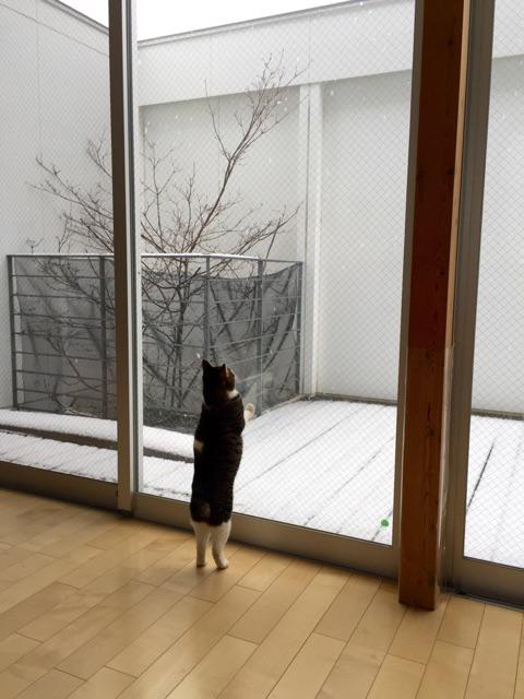 20150130123340_1_1